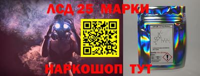 ешки Сланцы