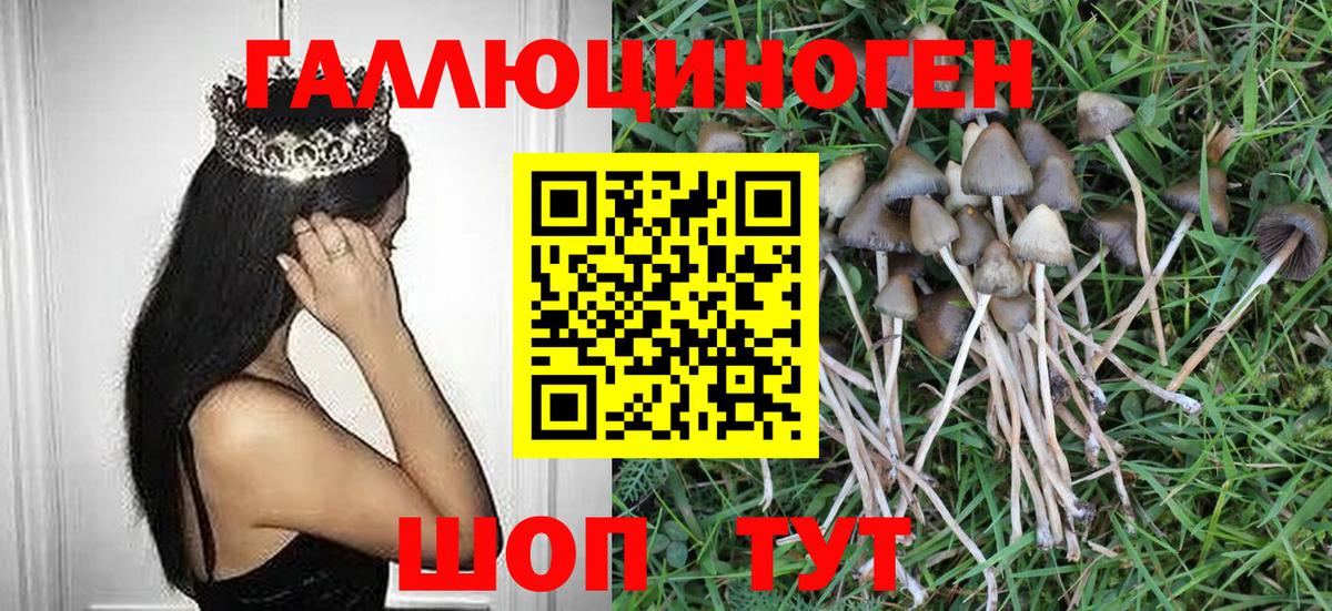 Галлюциногенные грибы GOLDEN TEACHER Новоуральск