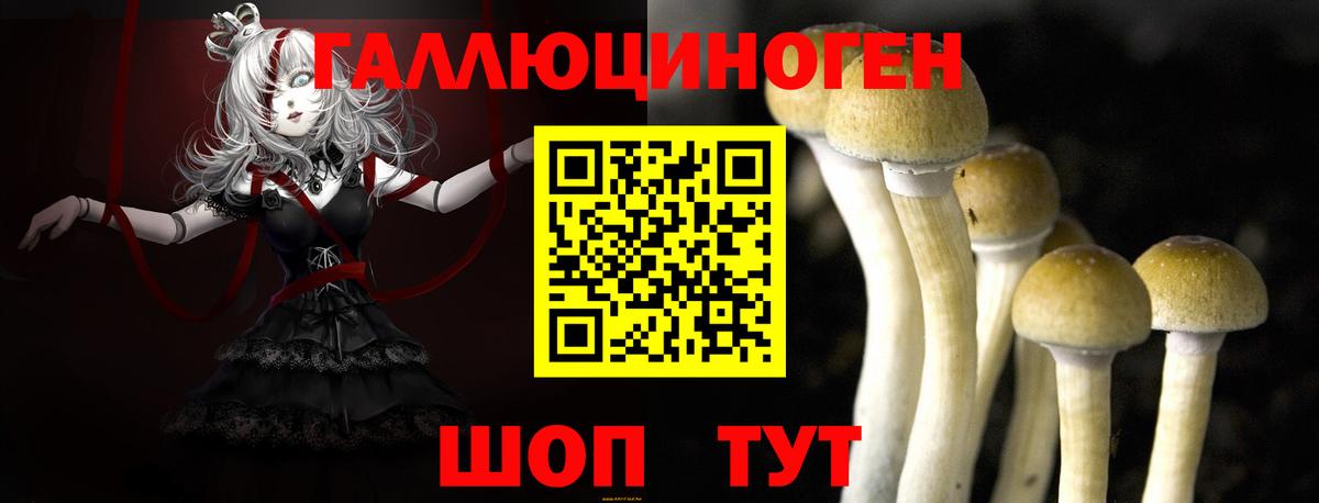Галлюциногенные грибы Psilocybine cubensis  Псилоцибиновые грибы Psilocybine cubensis  Вход с VPN  купить   Новоуральск 