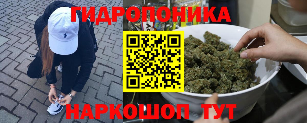 Каннабис гибрид  Марихуана White Widow  Бошки марихуана White Widow  Новоуральск  Вход с VPN 